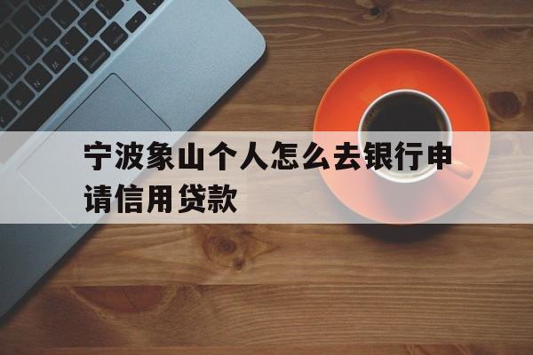 宁波象山个人怎么去银行申请信用贷款