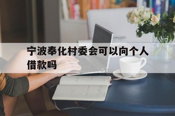 宁波奉化村委会可以向个人借款吗