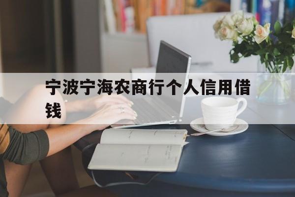 宁波宁海农商行个人信用借钱