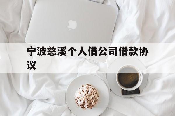 宁波慈溪个人借公司借款协议