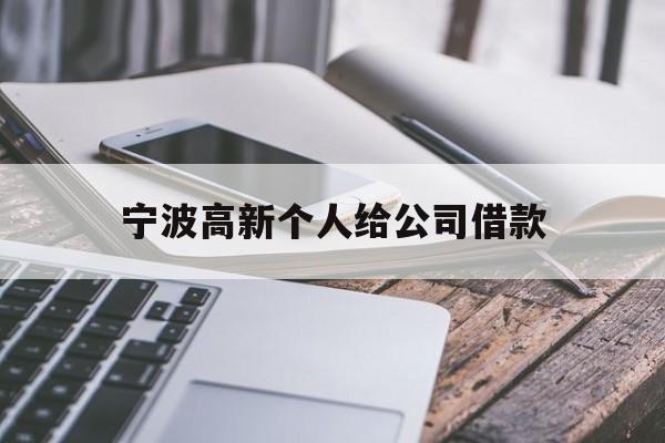 宁波高新个人给公司借款