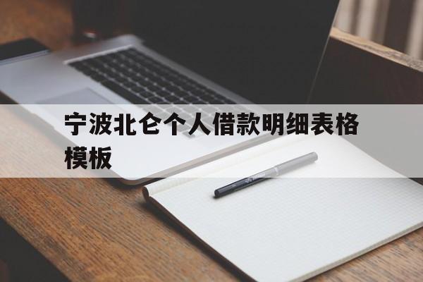 宁波北仑个人借款明细表格模板