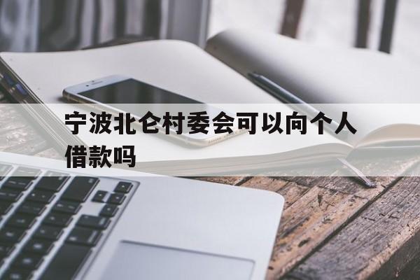 宁波北仑村委会可以向个人借款吗